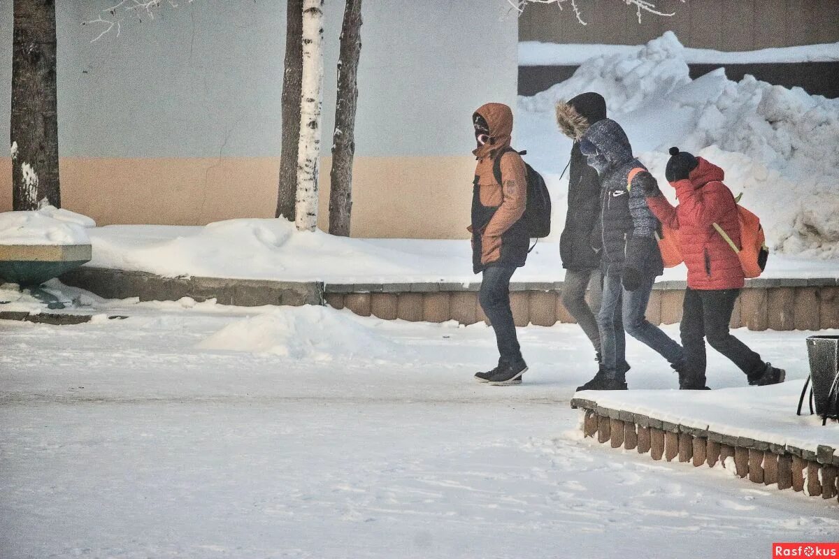 яндекс - минус 40%,. х минус 40. минус 40. х минус 40. минус 40.