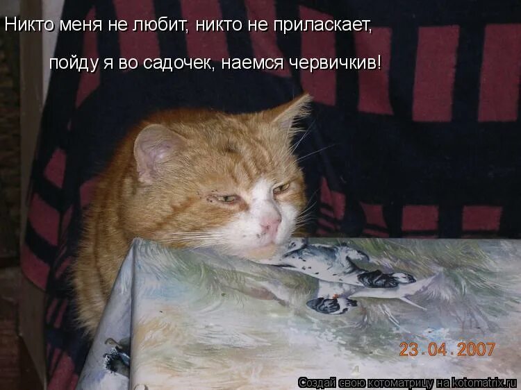 никто меня не любит пойду я на болото наемся. пойду я на болото наемся жабонят. меня никто не любит. пойду я на болото наемся жабонят. самое главное проводить время с теми кто честно хочет проводить его.