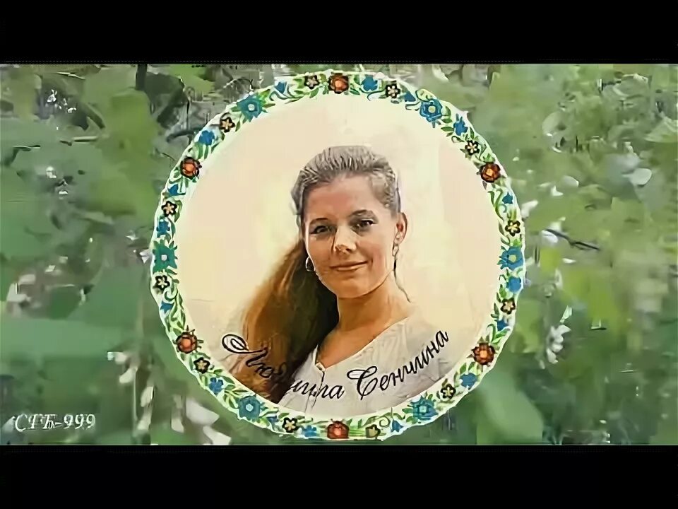 Белой акации гроздья душистые сенчина. Сенчина белой акации гроздья. Концерт людмилы сенчиной. Сенчина белой акации гроздья. Сенчина белой акации гроздья.