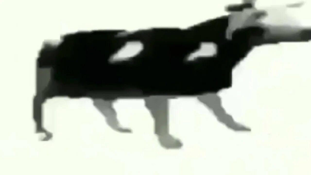 Тайна танцующей коровы. Польская корова танцует гиф без фона. Корова танцует gif. Корова танцует шаблон. Шагаю по столу как назарбаев в астану