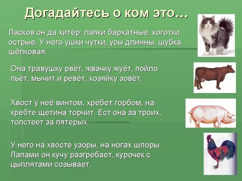 Значение животных конспект. Дикие и домашние животные презентация. презентация на тему домашних животных. окружающий мир дикие и домашние животные. презентация про диких и домашних животных.