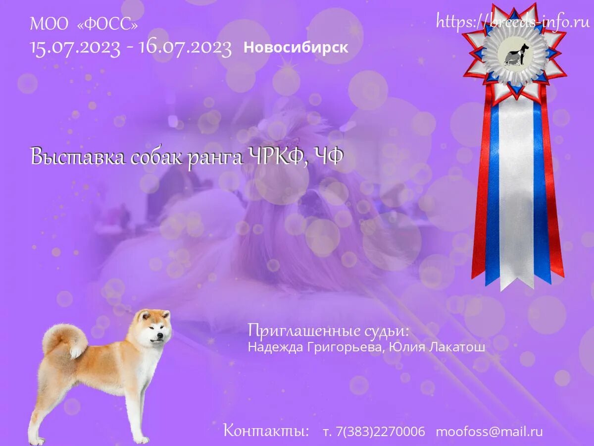 Всемирная выставка собак. Выставка монопородная кокер спаниель. Выставка собак название. Монопородная выставка английский кокер спаниель. Форум академгородка предстоящие выставки собак новосибирск.