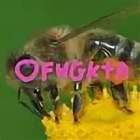 Грвм что это. Грвм что это
