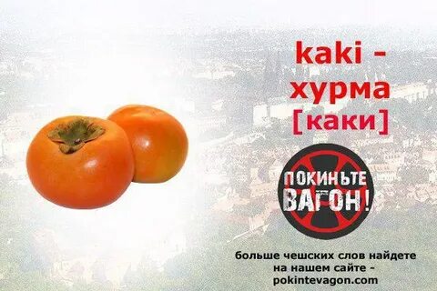 Включи каки каки