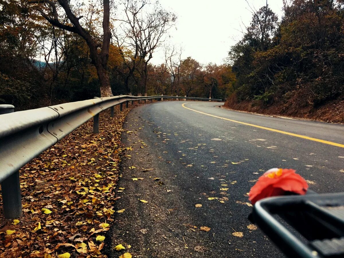 М5 асфальт осень. Осенний асфальт. Осень асфальт. Дорога осень асфальт. Улица асфальт осенью.