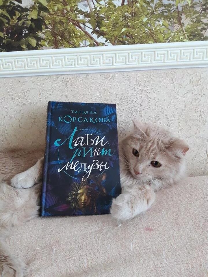 Лабиринт осьминог. Лабиринт медузы книга. Корсакова т. Татьяна корсакова лабиринт медузы обложка книги. Лабиринт медузы.