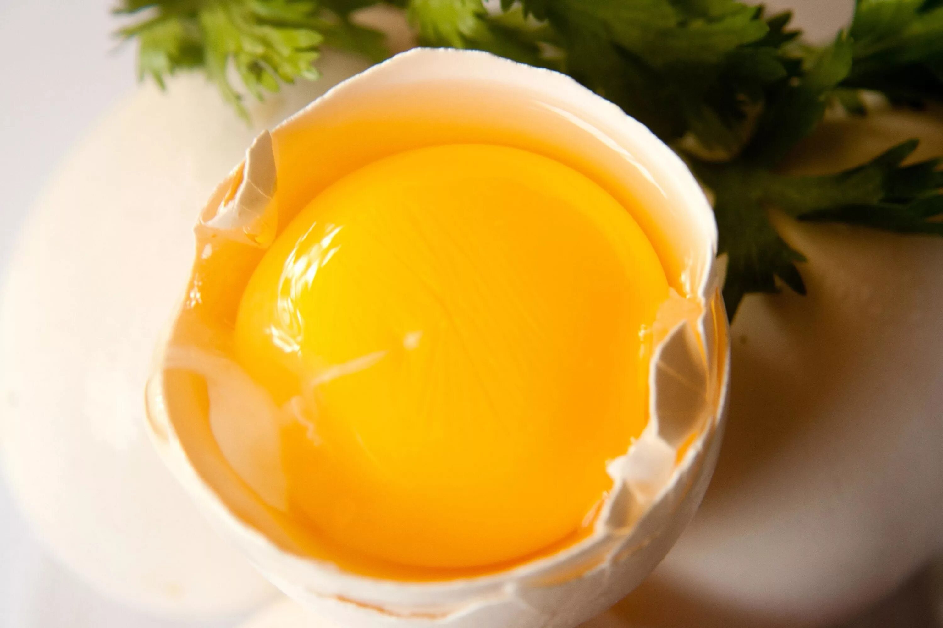 Желток. Куриный желток. Желток яйца. Сырое яйцо.