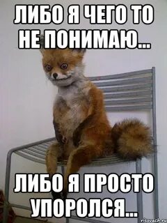 Пригляделись вы либо не понимаете