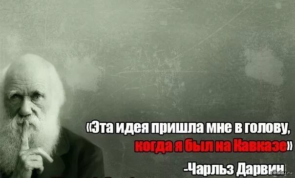Дарвин мем. Дарвин одобряет. Естественный отбор дарвин мем. Естественный отбор дарвин мем. Естественный отбор мемы.