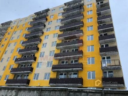 Родные берега 2