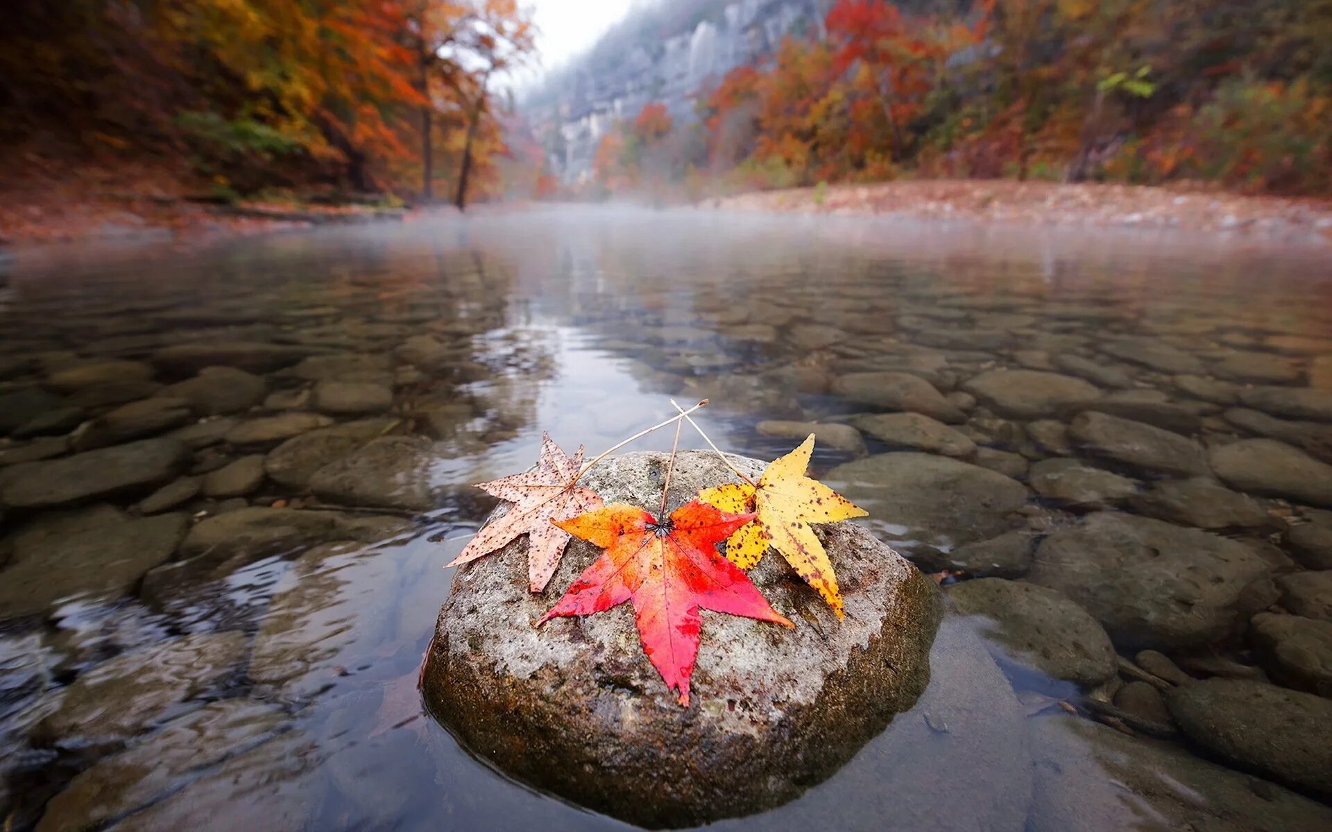 Осень вода. Осенние чудеса. Необычная осень. Осень листья река