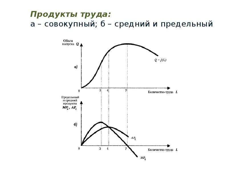 Продукт труда виды. Совокупный средний и предельный продукт. Совокупный продукт труда. Средний продукт труда. Функция среднего и предельного продукта труда.