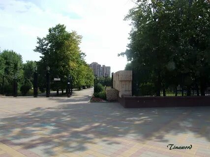 Дону аллея