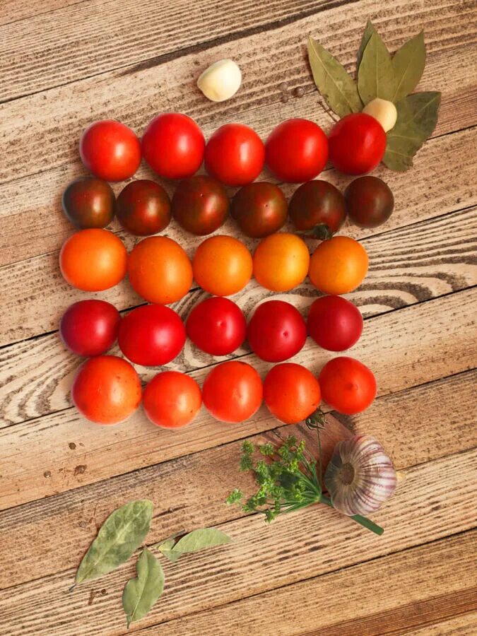 Сорта томатов для консервирования. Томат евпатор f1. Томаты для цельноплодного консервирования. Консервированные томаты черри. Томат форте акко.