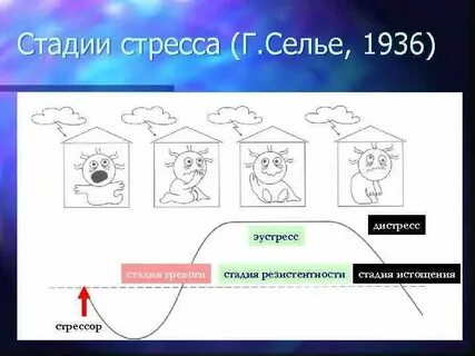 Селье дистресс
