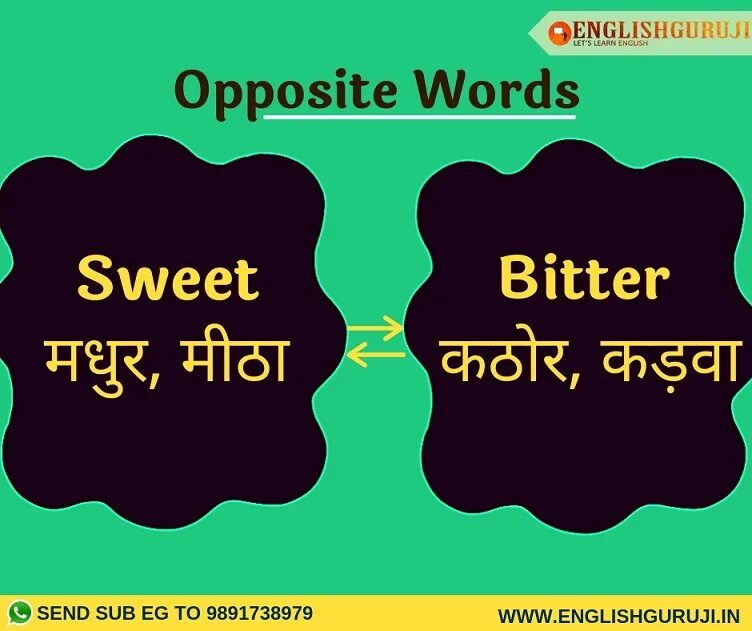 Lazy opposite. Modern opposite. expensive opposite word. cheap opposite. cheaper opposite.