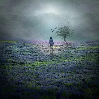 Great dreams
