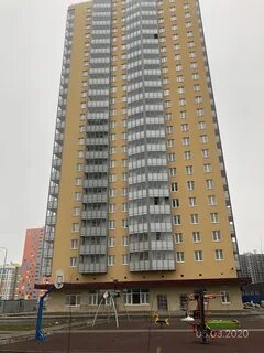 Домовой мурино