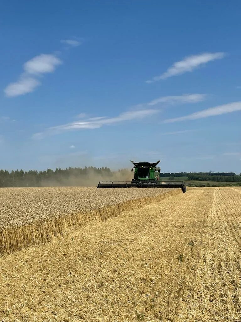 Сельское хозяйство тамбовской области. Уборочная компания зерновых. Растениеводство тамбовская область бондарский район. Тонна зерна. Сельское хозяйство тамбовской области.