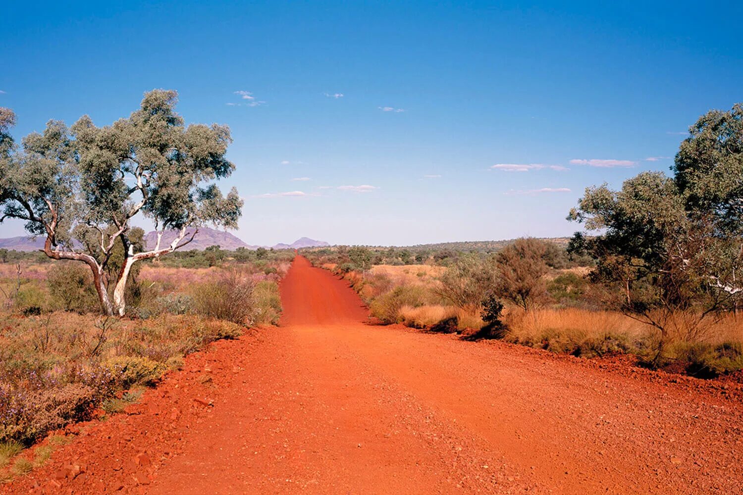 Засушливые области австралии. Элис Спрингс в Австралии. Outback Австралия. Австралийский Аутбэк. Australian Western Outback.