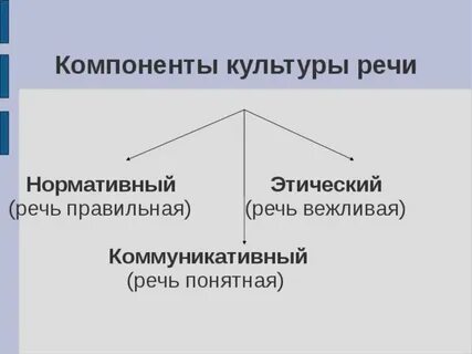 Коммуникативные компоненты речи