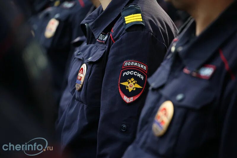 Полиция череповец. Полиция череповец