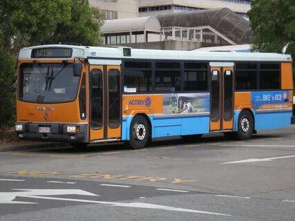 Renault bus