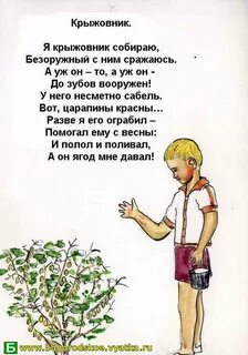 Это был его собственный