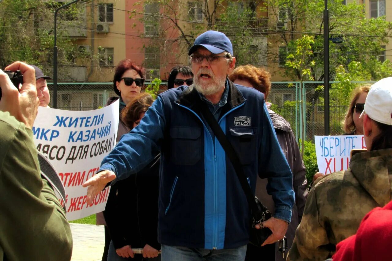 Митинг собака. Митинг бомжей. митинг с плакатами.