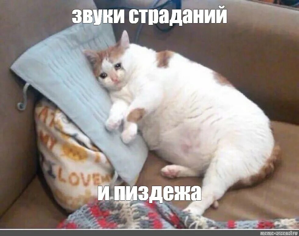 Мем. Кот со слезами. Звук мем. Сквидвард слушает музыку и плачет. Тебе всё можно.