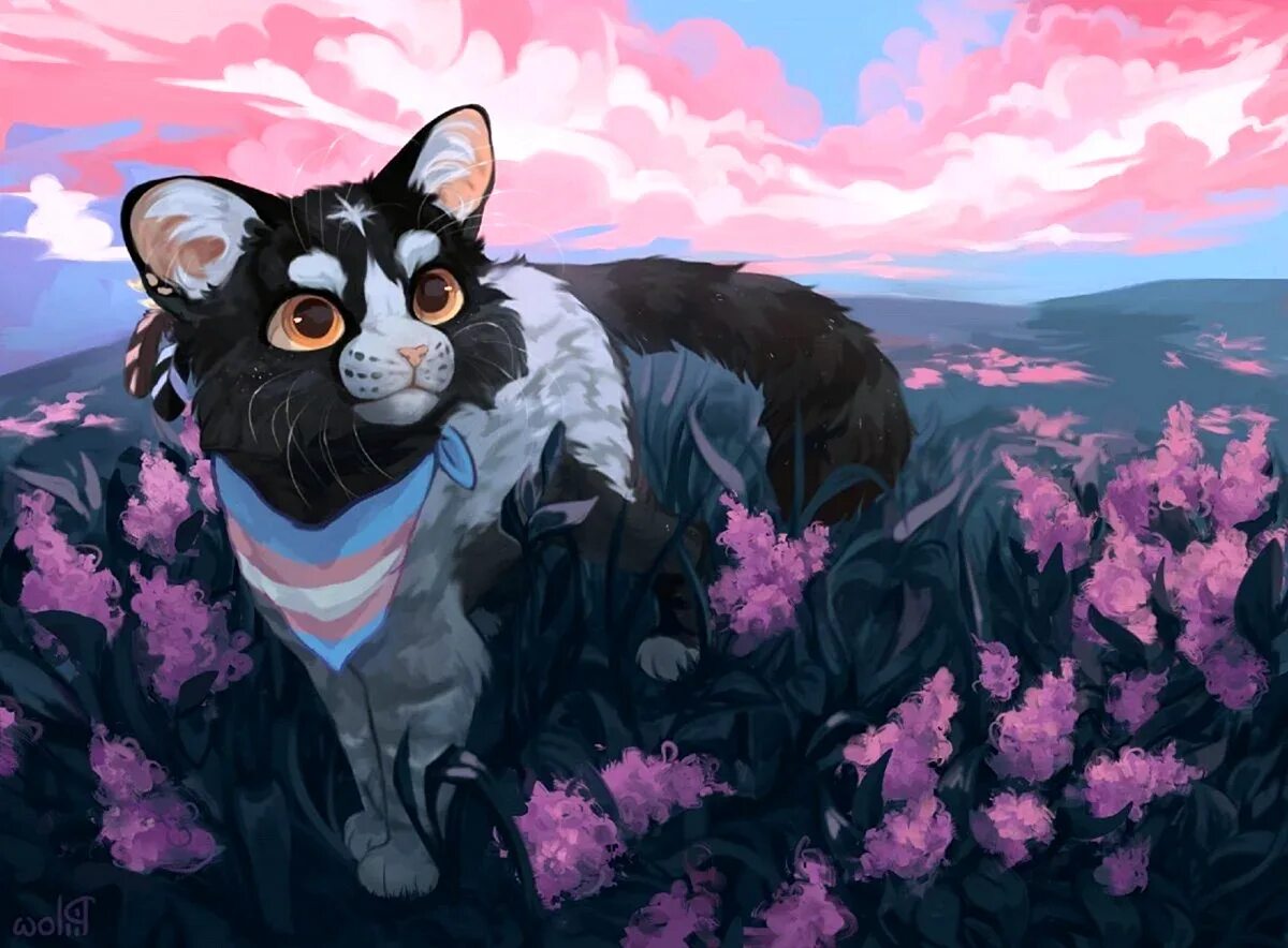 Коты воители цветы. Коты воители цветы. Коты воители виалир. Коты воители белогривка. Коты воители рыжинка злая.