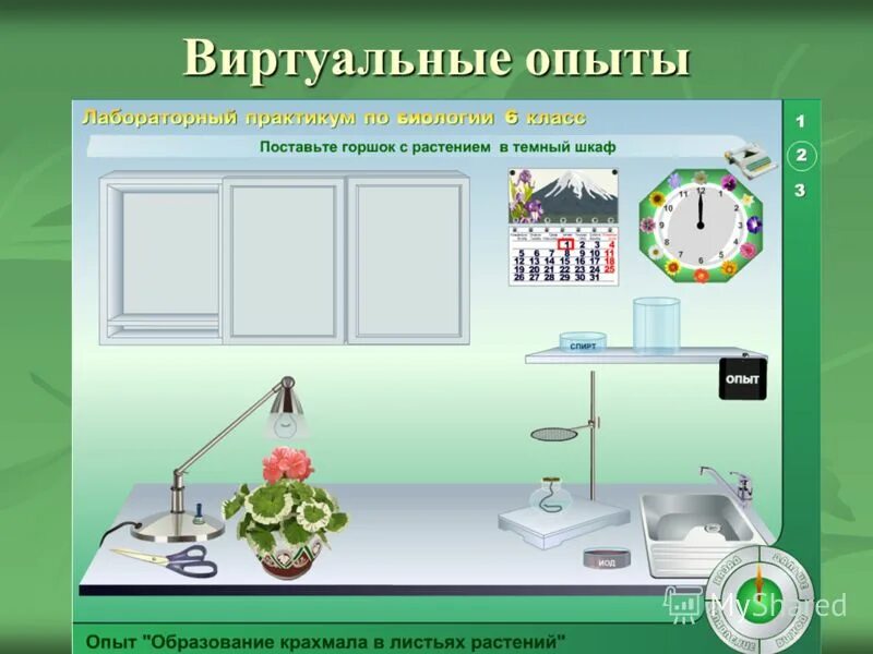 Опыт на уроке биологии. Виртуальная лаборатория по биологии. Виртуальные лабораторные работы по биологии. Эксперимент на уроках биологии. Системы виртуального эксперимента.