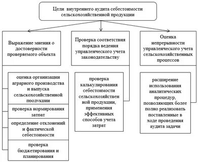 Цели организации внутреннего контроля