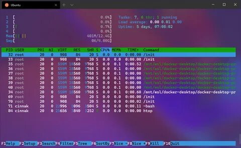 Wsl sudo
