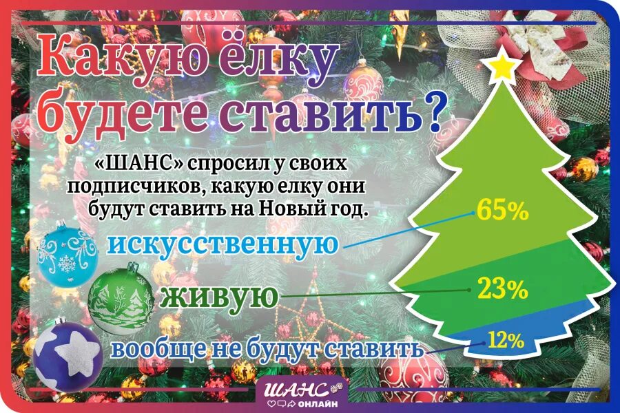Какую елку ставить. Хакасия саяногорск новогодняя елка. абакан живая елка. опрос какую елку предпочитаете ставить дома. шаблон обьявления онлайн-акция посмотри какая ёлка.