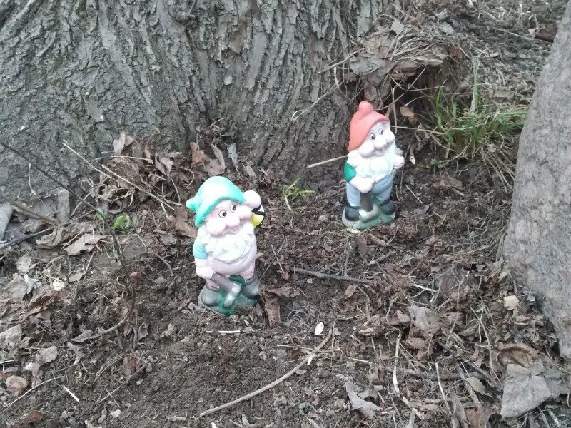 про гномиков. выходит гномик. смешной гном. гномы книга. существо в виде гномика.