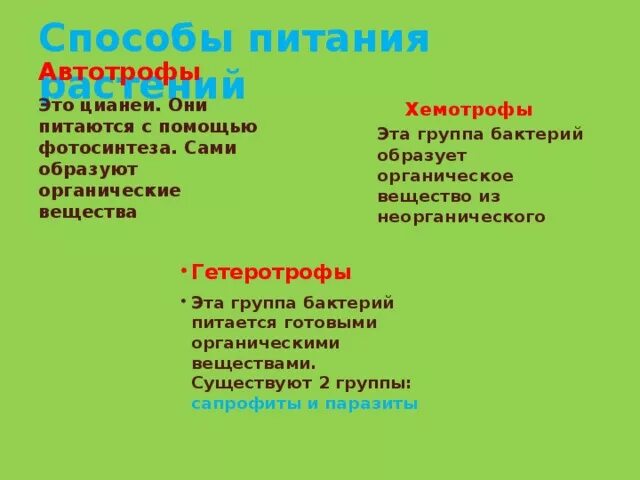 Аутотроф