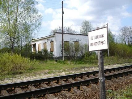 Погода прискуха