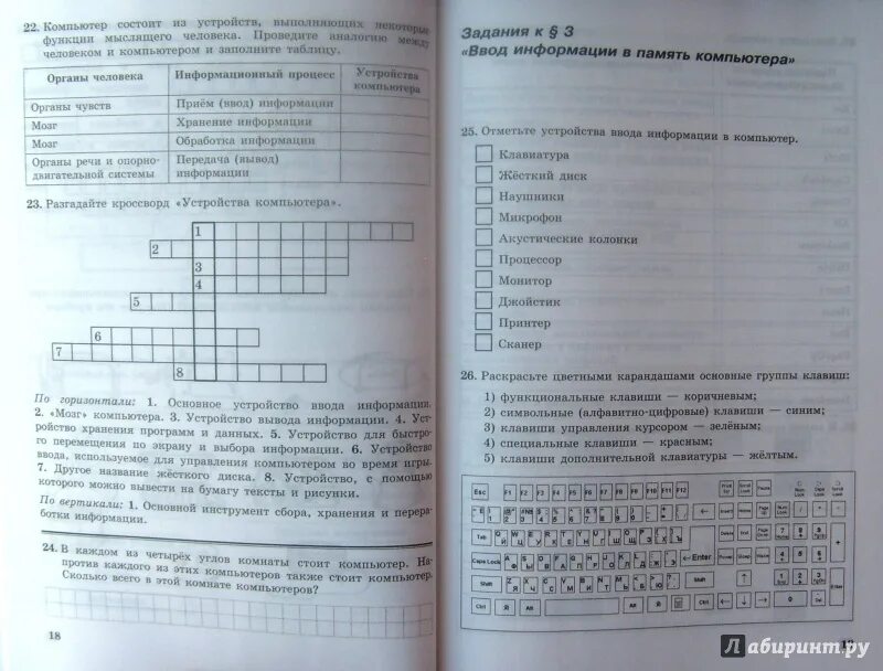 Информатика 5 класс сколько. Информатика 5 класс. Информатика 5 класс босова. Информатика 5 класс ФГОС босова. Информатика 5 класс босова рабочая тетрадь.