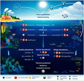 How ocean
