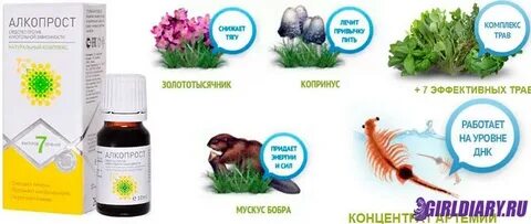 Алкопроста