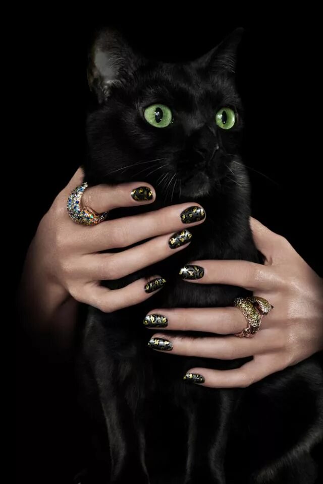 британская короткошёрстная кошка черная фото. черный котенок. черненький котенок. кот черный рукой. маленький черный котенок на руках.