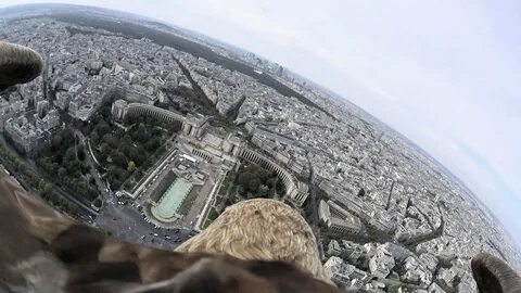 Камеры в париже