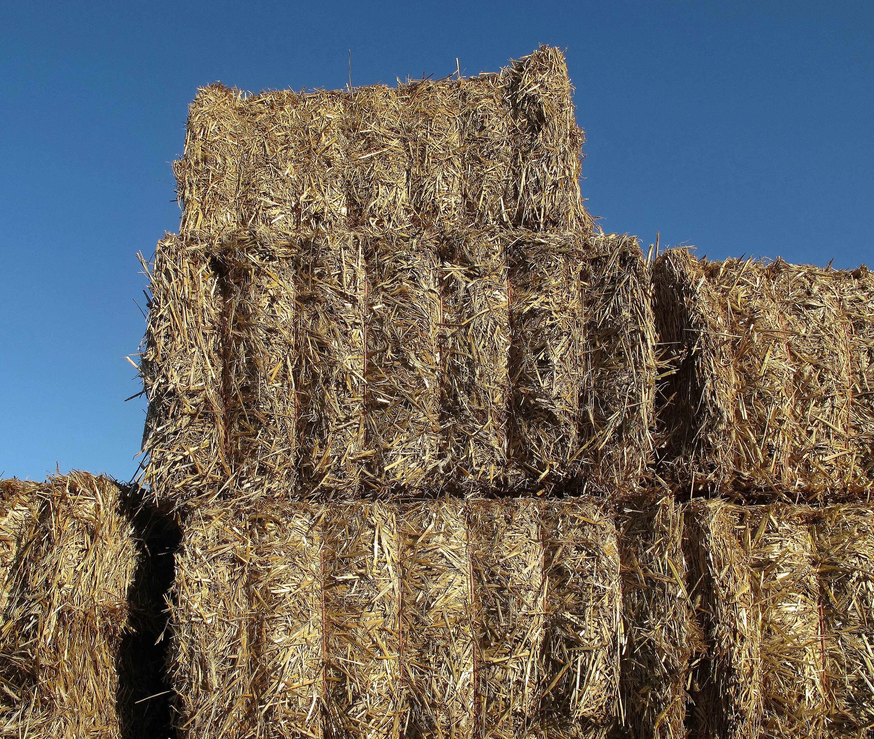 Тюки люцерны Bale. Солома в тюках. Сено в тюках. Сено в квадратных тюках. Тюк шерсти