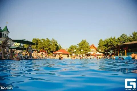Сосновый бор волгоград