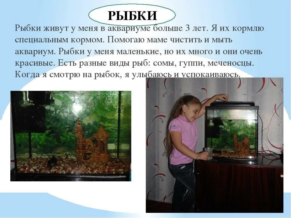 Проект аквариум. Аквариум для дошкольников. Рассказ про аквариум. Презентация на тему аквариум. Животные живого уголка презентация.