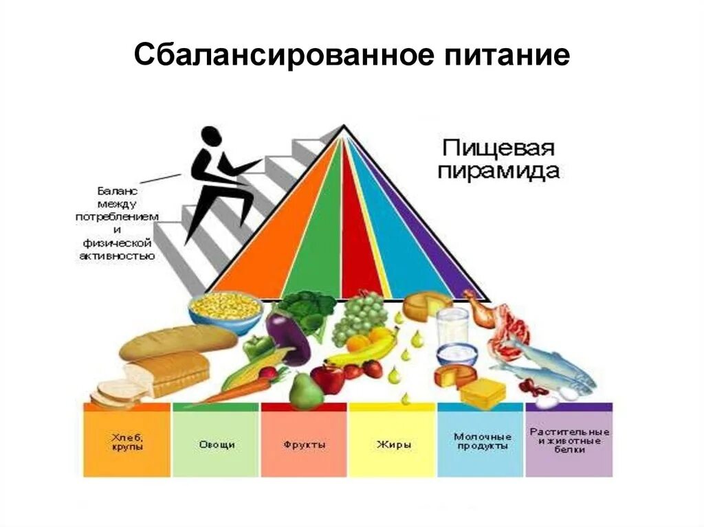 Сбалансированное питание. Сбалансированое питание. Правильное сбалансированное питание. Здоровое сбалансированное питание.