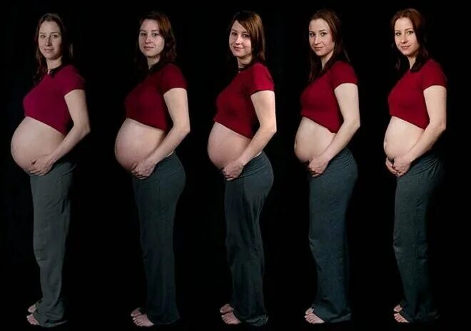 Живот по месяцам беременности. Живот на 16 неделе беременности двойней. Живот у беременных двойней по неделям. Живот с двойней по неделям. Беременный живот двойней по неделям.