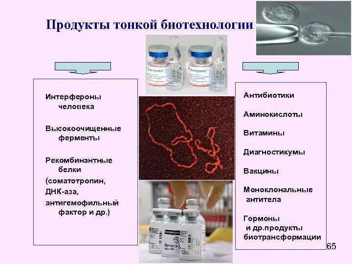 Препараты биотехнология. Антибиотики биотехнология. Схема получения ферментов биотехнология. Продукты тонкой биотехнологии. Биотехнологическое производство антибиотиков.