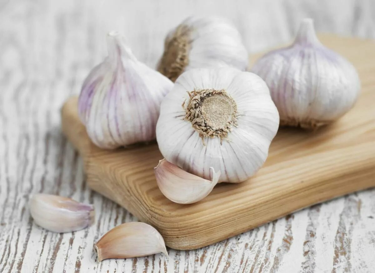 1 2 шт 4 чеснок. Чеснок - allium sativum.. чеснок киргизия. головка чеснока. декоративный чеснок.